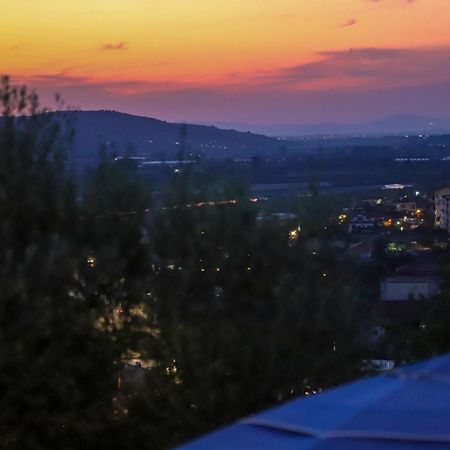Gasthaus Bujtina Musta Berat Exterior foto